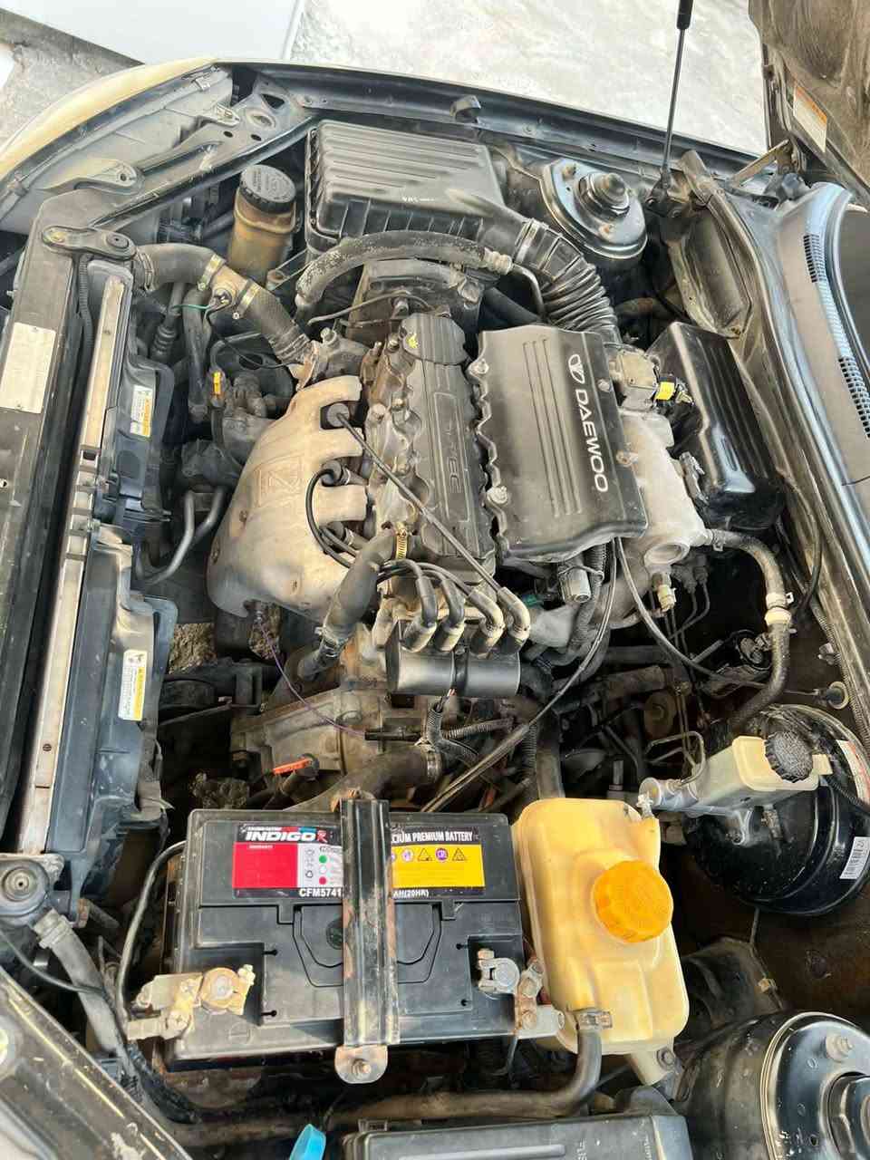 تحياتي الجميع دايو الكنزه البيع السعر 50


**إذا كنت صاحب هذا الإعلان وتريد حذفه لأي سبب، رجاءا أرسل رسالة إلى الدعم الفني**