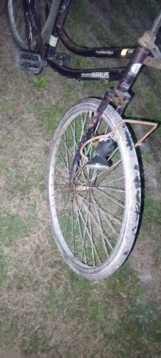 سلام عليكم خوان البيع باسكل اصلي موتجاري ياباني اصل حجمه 26  دينمه الايت شغاله تايره الوره بنجر  تايراته جدد وجوابه جدد والمكينه بيه فر بوش سعره «30»وبيه مجال بصيط كلش مكاني بابل السده المهناويه تواصل خاص


**إذا كنت صاحب هذا الإعلان وتريد حذفه لأي سبب، رجاءا أرسل رسالة إلى الدعم الفني**