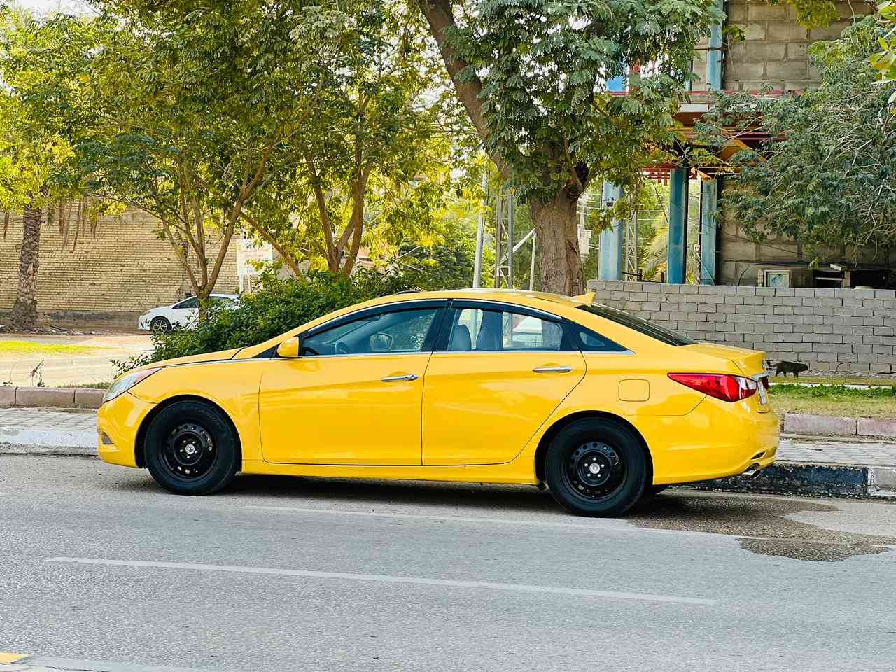 سوناتا مديل 2011 سعر 96قابل للتفاوض الأستفسار اتصل ***********وراد أمريكي كفاله من الحادث مواصفات فول واحد على واحد فتحه سقف بصمه تشغيل بصمه أبواب شاشه كبيره كامره خلفيه كشنات جلد كهربائي اشاير مري كهربائي قطعتين تبريد حساسات امامي وخلفي مثبت سرعه مكينه وكير مكفولات حداديه جديده تخم تاير تبريد تدفئه شغال رقم بابل إنكليزي مشروع وطني سنويه ل 30 خطها كربلاء/بغداد مصفره هيئه وغرامات 
مكان سياره كربلاء
