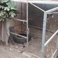 بابل المركز • ٣×١م • ارتفاع ١.٥م