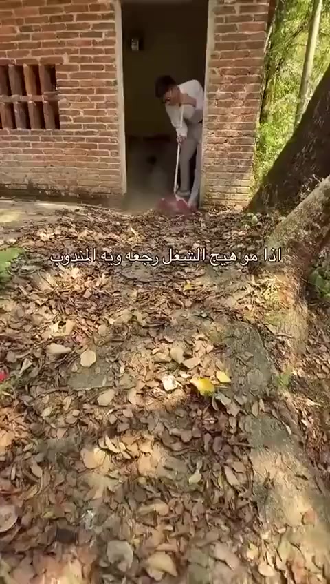 بلور هواء ماركة 🔥بوش🔥
اذا مو درجة اولى وقوة الدفع مثل الفيديو لا تنطي فلوس للمندوب 
للاستفسار 
***********
