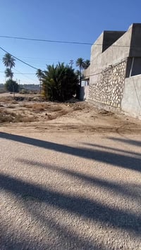 الحلة • ٢٥١م • طابو زراعي