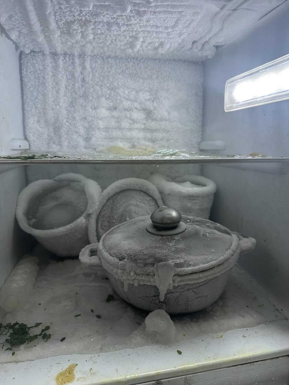 صوره


**إذا كنت صاحب هذا الإعلان وتريد حذفه لأي سبب، رجاءا أرسل رسالة إلى الدعم الفني**