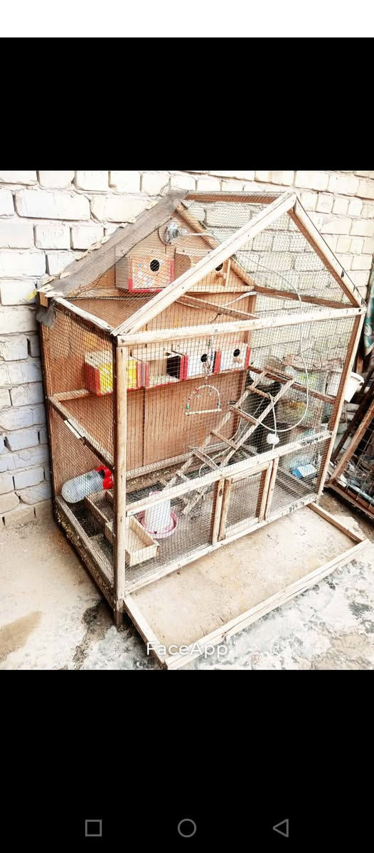 اسلام عليكم قفص طيور حب للبيع مع ملحقاته سعر 50وبي مجال للشراي مكاني سبع البور


**إذا كنت صاحب هذا الإعلان وتريد حذفه لأي سبب، رجاءا أرسل رسالة إلى الدعم الفني**