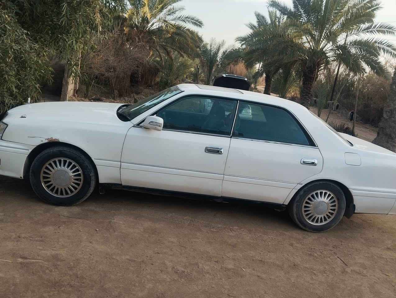 سلام عليكم البيع قماره بسمي السعر 80 (  ***********
