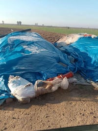 للبيع تبن درجه اولى 07814824043