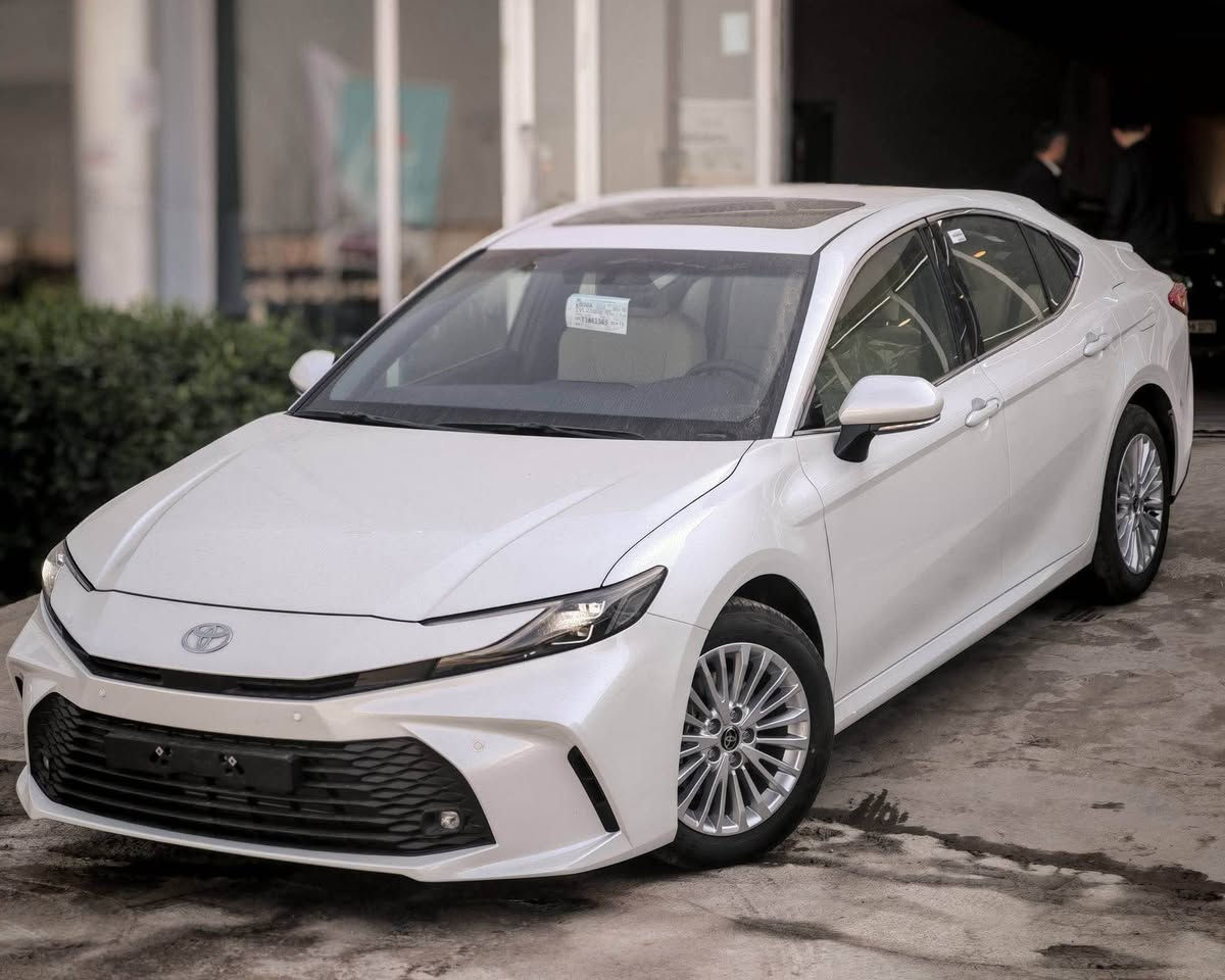 LE
بەنزین
٢٠٢٦
شەریکە جیهان
٣سال ضمان
ژماره كاتي رانية, السليمانية


**إذا كنت صاحب هذا الإعلان وتريد حذفه لأي سبب، رجاءا أرسل رسالة إلى الدعم الفني**