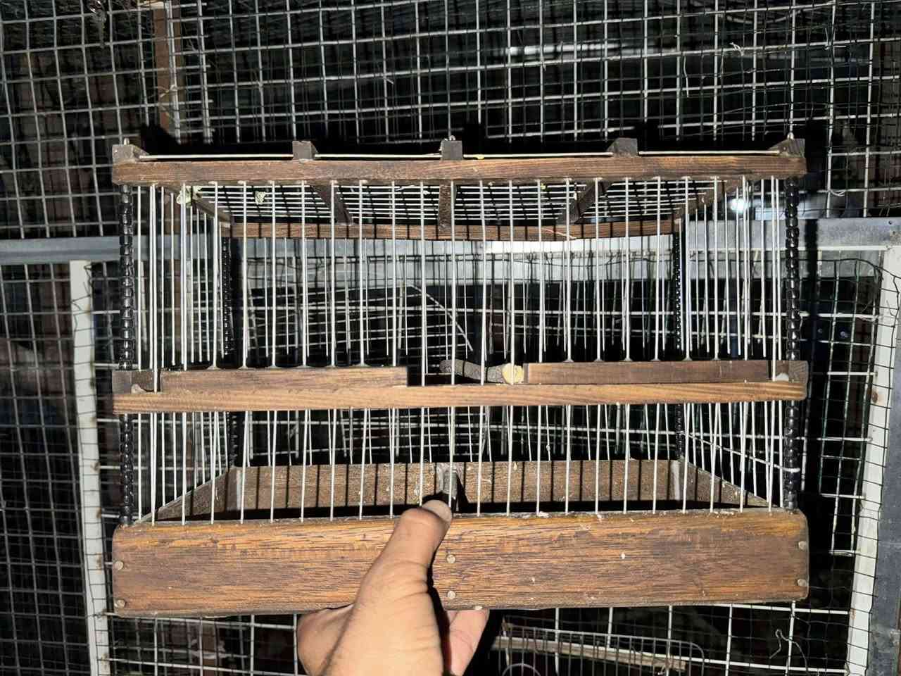 قەفەزی بوکە سورەو کەنار بۆ فرۆشتن دەست کردە بەداری شاز دروست کراوە شوێن کلار نرغ 8 هەزار


**إذا كنت صاحب هذا الإعلان وتريد حذفه لأي سبب، رجاءا أرسل رسالة إلى الدعم الفني**