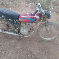 موديل ١٩ • مكفولة • الكوت