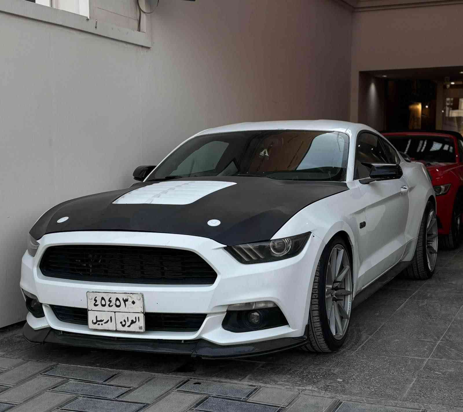موستانك 2016 جيتي محرك 8 بستن 
4 قطع صبخ بي داخلي ارباك يت فه بين 
گير مكينه جديد تحويل غرامه بشرط 
سياره نوكه تحويل نابت ب نافي شه ريكي يه
3 بو 4 هه يفا دي خو كري دي تحويل بت 
سعر 125 ورقه 
25 ورقه غرامه 100 صافي دينار مصرف تيدا نينه 
تبريد كير مكينه هه مي بشرط 
رقم تلفون ***********

موستانك 16 جيتي محرك 8 سلندر 
بيها 4 قطع صبخ بدون دواخل ارباك مفتوح
گير محرك جديد تحويل غرامه بشرط 
سياره هسع ما يتحول بسم شركه 
3 الي 4 شهر  تحويل بشرط 
سعر 125 ورقه 
بيها 25 ورقه غرامه يعني 100 صافي 
سياره ما بي دينار مصرف 
تبريد گير مكينه كل بشرط 
مكاني دهوك 
رقم تلفون *********** زاخو, دهوك
