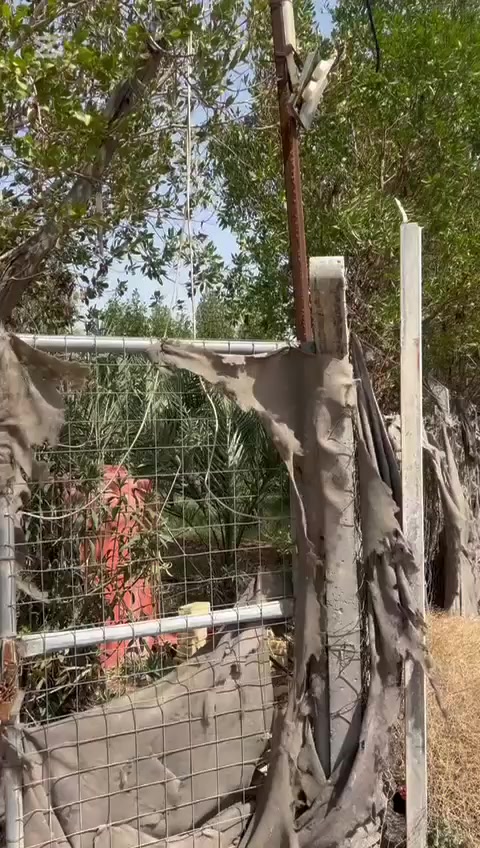 ارض مزرعة  نص دونم يعني مساحة ١٢٥٠م يعني الف ومتين وخمسين متر مزروعة ٩٠ نخلة مع اشجار وبيت جلسة الواجهة ٢٥م والنزال ٥٠م الموقع بغداد جسر ديالى القديم العريفية الاتصال والاستفسار ***********و *********** اتصال و وتساب
