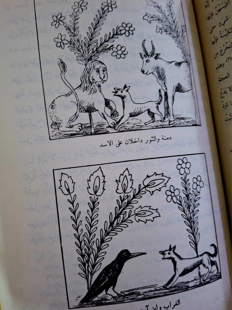 10.. الاف.. كتاب  كليله ودمنه...دار  العوده بيروت لعام  1986  .. 237. صفحه
خدمه التوصيل


**إذا كنت صاحب هذا الإعلان وتريد حذفه لأي سبب، رجاءا أرسل رسالة إلى الدعم الفني**