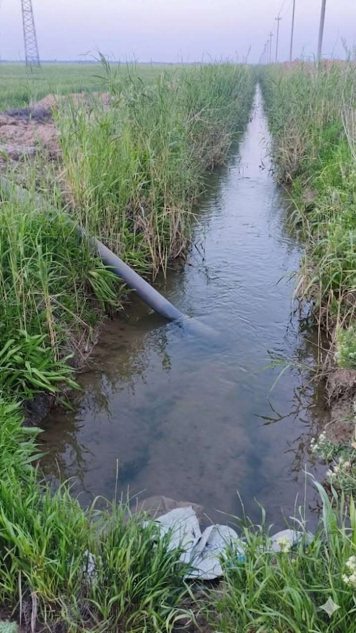 توجد ارض زراعيه للبيع 13دونم تبعد عن الشارع العام كيلو موقع الارض واسط الاحرار قرب  حقل الاحدب النفطي وعلى صدر الكاع شارع سبيس مياه صيف شتاء متوفر للاتصال او الستفسار ***********
