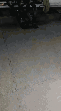 سيت دمبلص مع سيت شفت مستعمل 

للبيع 
***********
