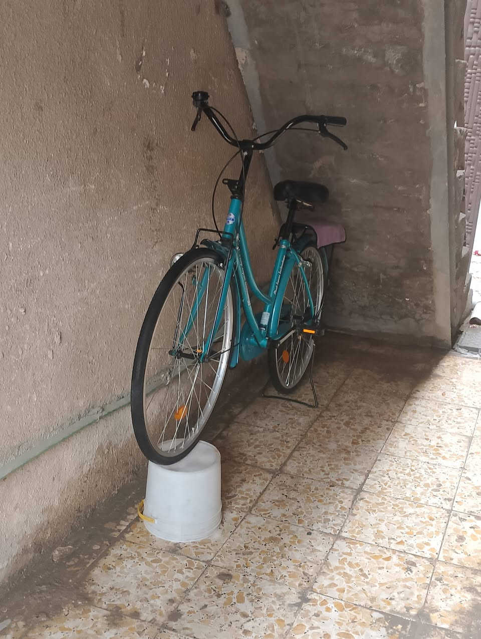 لا حبيبي والله حياتي 78. 100. 55. ***********
