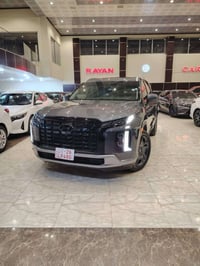 بلاسايت • ٢٠٢٤ • وارد امريكي