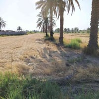 ٤ دونم • سند ٢٥ • واجهة ١٥٠م