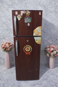 رويال • حجم 14 • شغاله