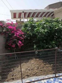 بيت زراعي • ٢٤٠م • ديوانيه الشافعيه