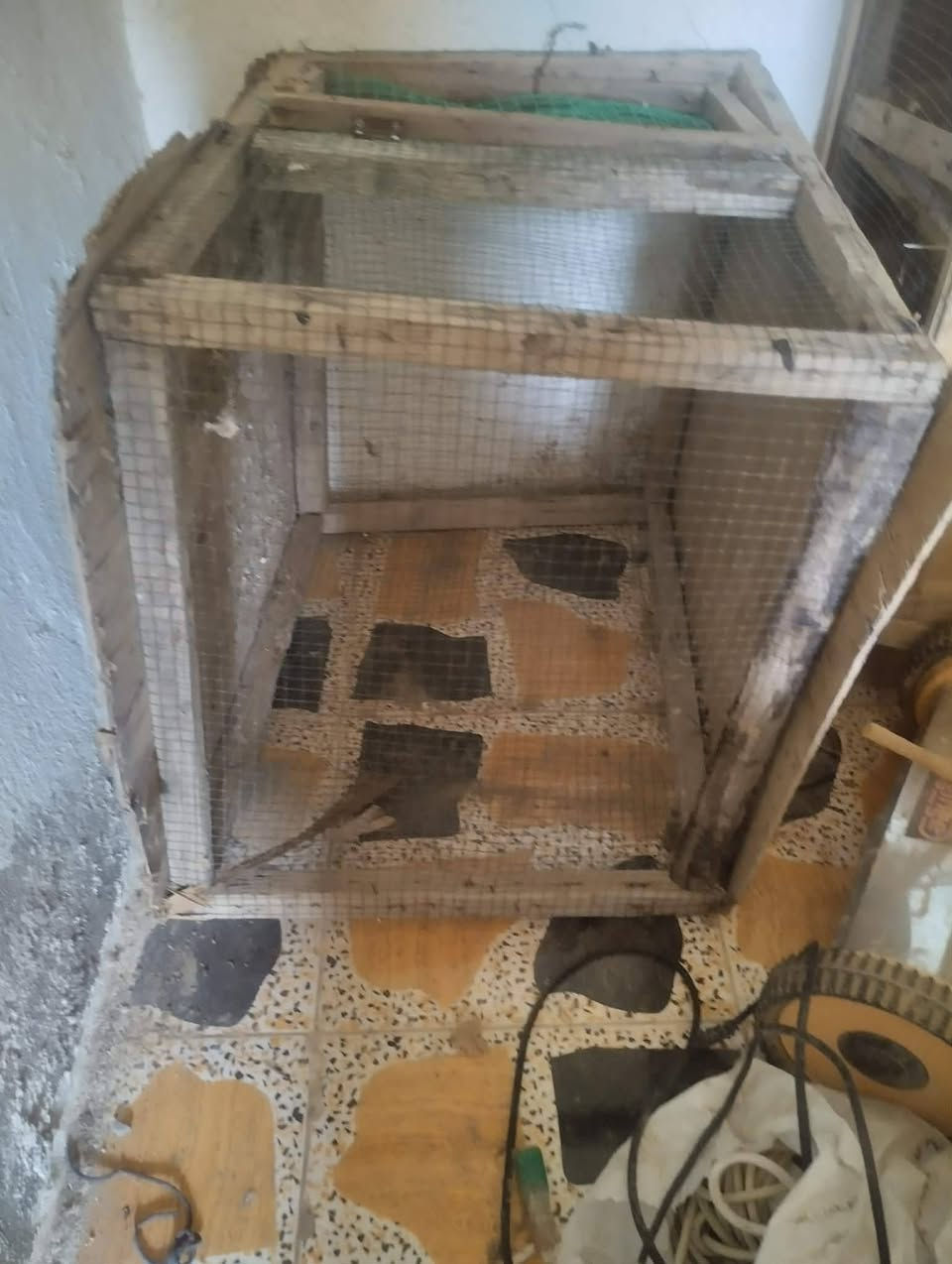 اغراض للبيع
القفاصة كلهم ب15
البايسكل ب30
الفرشات الوحده ب25 قياس 3×4
عنوانهم كوت جصان


**إذا كنت صاحب هذا الإعلان وتريد حذفه لأي سبب، رجاءا أرسل رسالة إلى الدعم الفني**