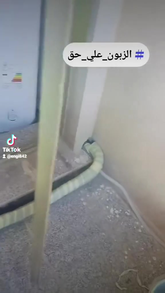 تم تركيب سبلت Aukia اوكيا في منطقة السيديه شاراع الكهرباء مع كادر ورشتنا القمه الهندسيه 
طبعا كادرنا  #جاهز #ادامه #تركيب #تجهيز #تنفيذ #مشاريع #vrf 
#تركيب #غرف #تجميد #بكافة #انواعها
ارقامنا ***********
***********
طبعا تحياتي للاستاذ ياسر مسؤل مبيعات شركة اوكيا
#العراق #اكسبلور #شاهدوني #للعالم
