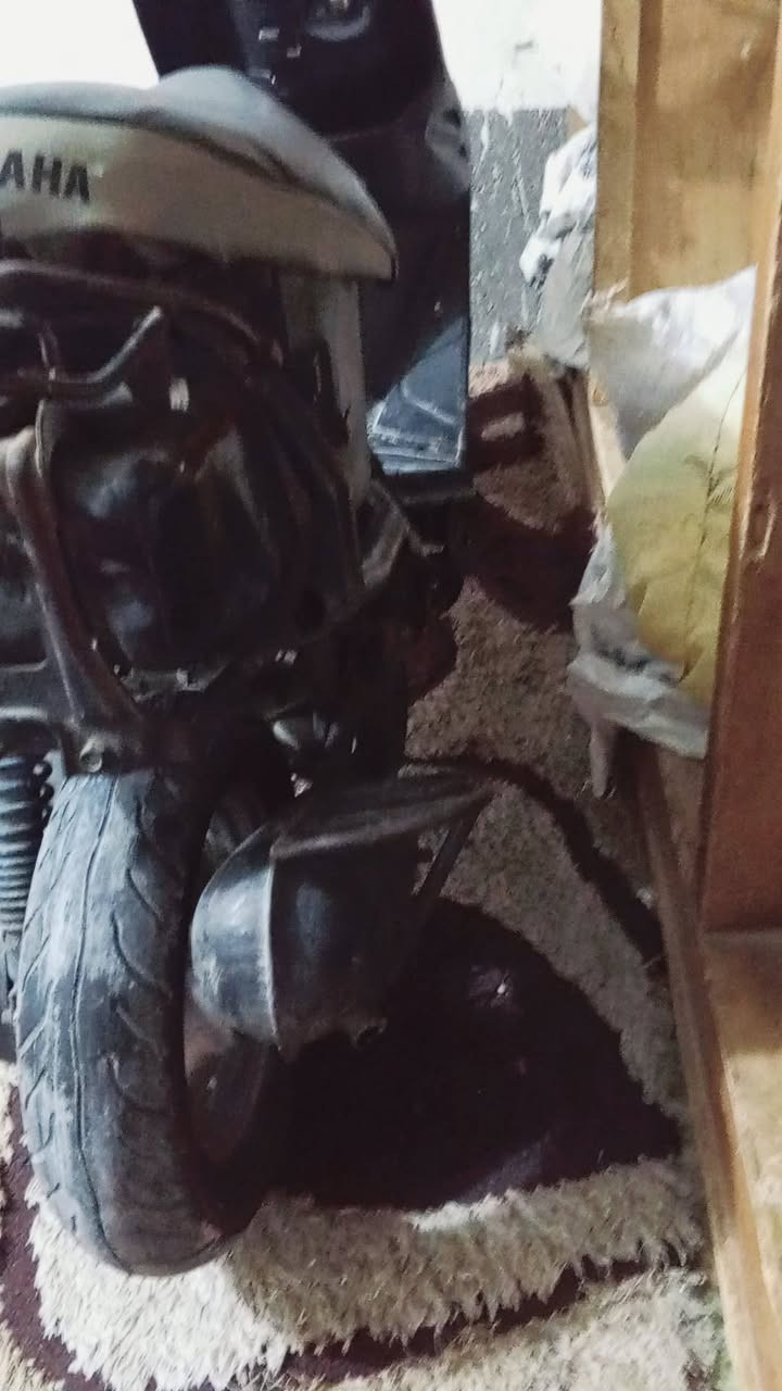 بيجي للبيع ب180


**إذا كنت صاحب هذا الإعلان وتريد حذفه لأي سبب، رجاءا أرسل رسالة إلى الدعم الفني**