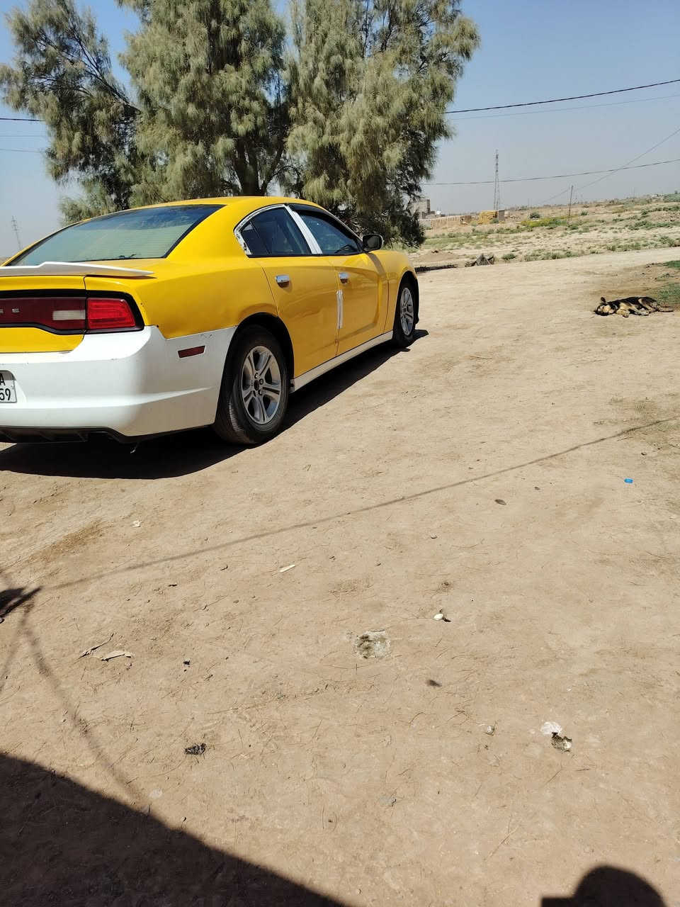 جارجر 11 حادثه جاملغ وبنيد
جاهزه مكينه كير حداده تخم تاير باسمي رقم نكليزي
خطه ناصريه بغداد. 
مكان السياره ناصريه قلعة سكر
ترهم مراوس بخصوصي او تكسي
لاستفسار خاص مفتوح***********
