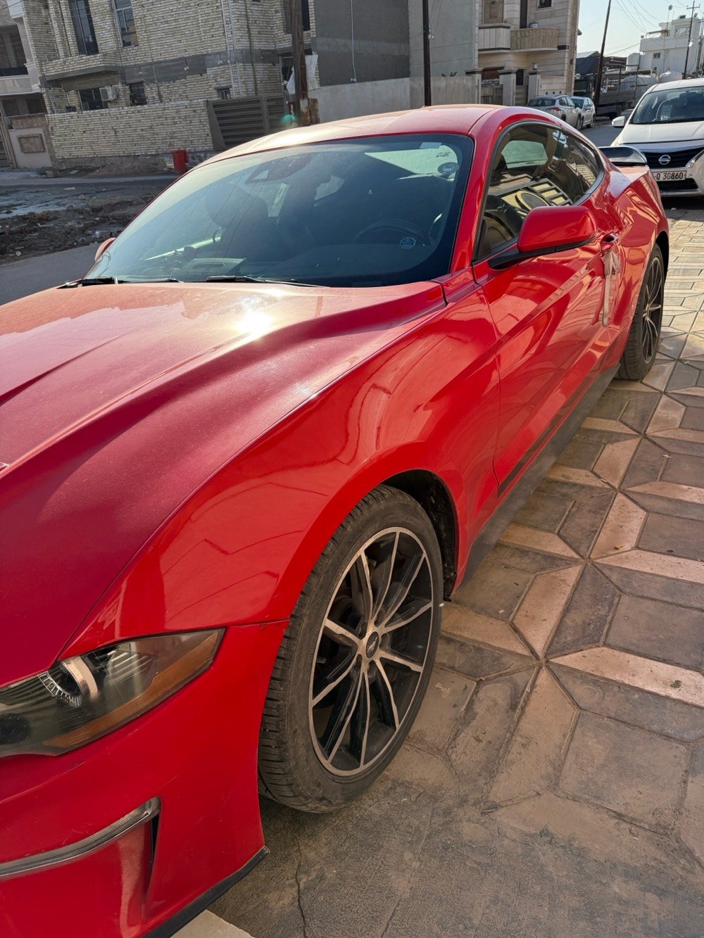 للبيعFord mustang 2021

المحرك / ecoboost 2.3 turbo 🚀 بريميوم 

وارد امريكي ماشية 55 الف كيلو  اللون احمر 🍎 

رقم اربيل .. سنوية بأسمي ..

فول مواصفات  

شاشة كبيرة مع گيجات متعددة الاشكال ومتغيرة مع انظمة القيادة ( normal , sport , slippery , drag strip , track , custom ) 

رادارات امامي جانبي .. كاميرا خلفية مع حساسات خلفي .. تدفئة كشنات .. مودات ستيرنك .. تحكم بالوان الداخلية .. كشن كهرباء .. تحديد مسار + مستشعر .. قيادة ذاتية .. انارة LED .. كروز سرعة وباقي المواصفات المعروفة ..

السيارة عليها دفيوزر وحلوك  وسبايدر وعليها تزويد سيفتي مراوح وفتح سرعه وفصله من طلال موستنك 

حادثها جاملغ امامي وقبغ جنطه 

السيارة نظيفة جداً 

السعر 178 ورقة وبيها مجال 

للاستفسار / *********** 

مكاني بغداد الدوره