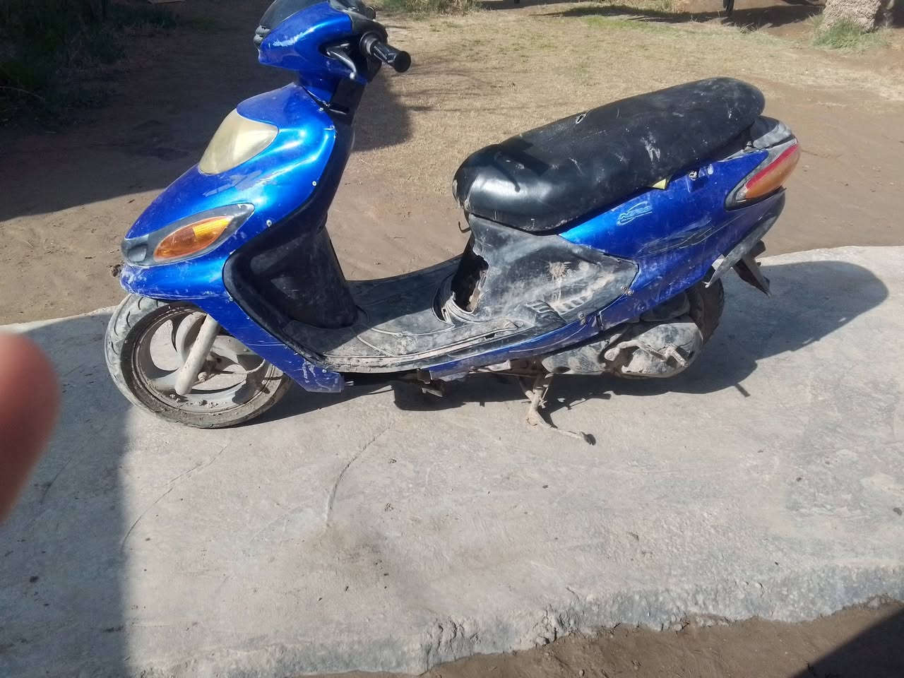 السلام عليكم ورحمه الله وبركاته دراجه دولفين للبيع السعر 250اوبيه مجال مكان بابل الهاشمية للاتصال ***********
