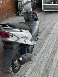 ماكس منغولي • كفالة عامة • بيع مستعجل