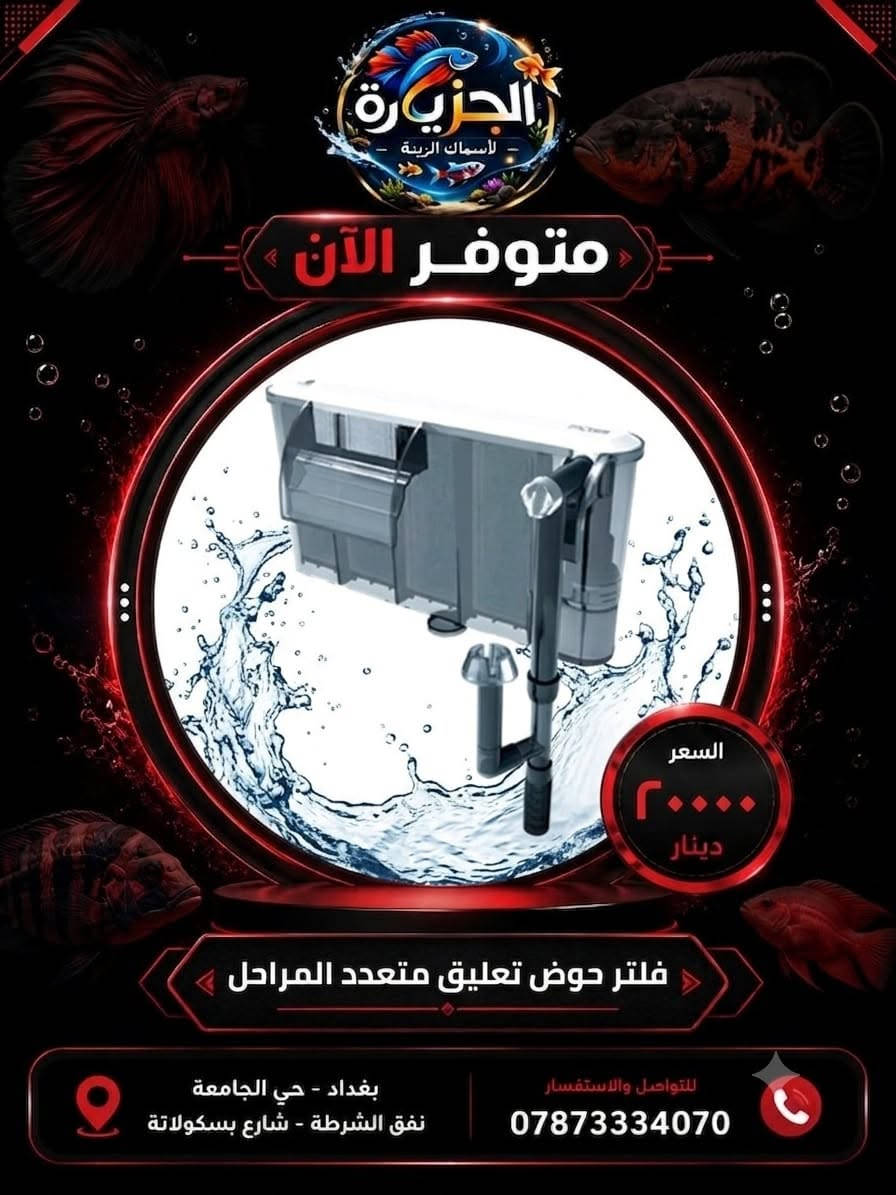 🚚 توصيل داخل بغداد بـ 4,000 دينار فقط
📦 توصيل لجميع المحافظات بـ 5,000 دينار فقط
✅ تغليف آمن
✅ شحن سريع
✅ استلام مضمون
📞 ***********
📍 معرض الجزيرة لأسماك الزينة - بغداد حي الجامعة نفق الشرطة شارع
بسكولاتة.

#CoraFeed
