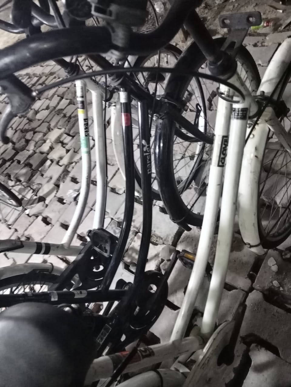 بيسكلات حاويه حجم 26 22 16 مكان ناصريه سومر ***********
***********
