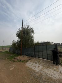 مزرعة • يرغنتي • ١٢٥٠م