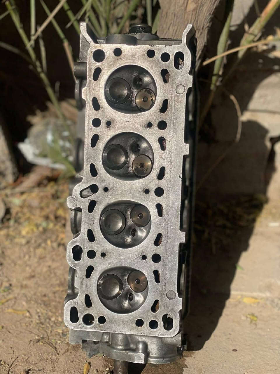 للبيع


**إذا كنت صاحب هذا الإعلان وتريد حذفه لأي سبب، رجاءا أرسل رسالة إلى الدعم الفني**