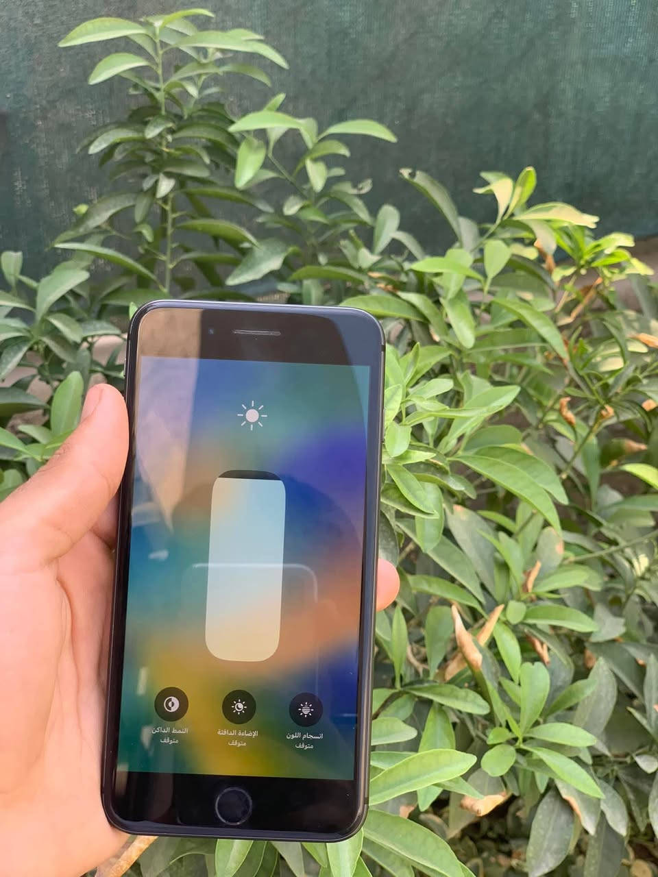 ايفون 8 بلاص
جهاز بلادي مو واصل صيانه شرط 
بطاريه 77 ذاكره 64 كامرات فول دمعه
مكان السيمكرت نوبات يشتغل نوبات لا ابيع مايشتغل
نضافه 100 بل 100 السعر 95 بي مجال


**إذا كنت صاحب هذا الإعلان وتريد حذفه لأي سبب، رجاءا أرسل رسالة إلى الدعم الفني**