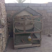 قفص • ٦ بيوت • بيه مجال