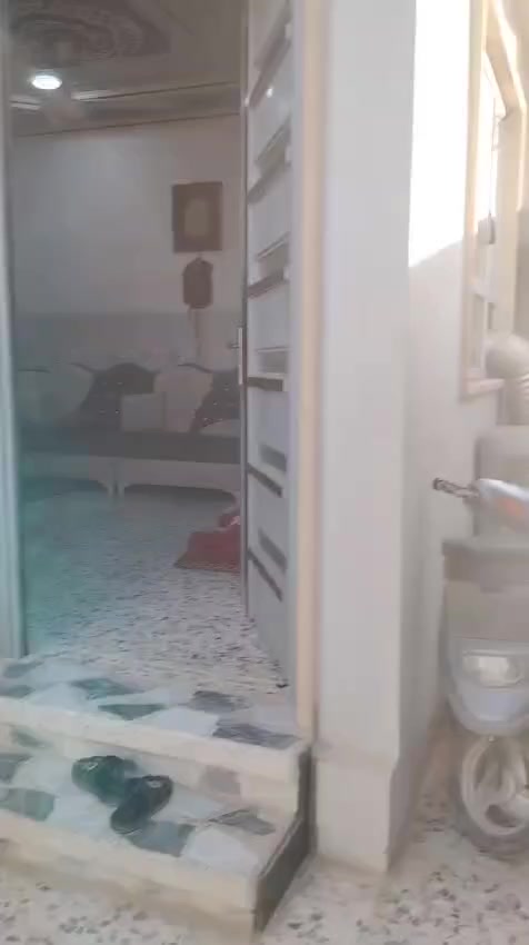 بيت للبيع قوسيات حي الزيتون مدخل اسواق ابو علي مساحه 150 متر سعر 55 وبي مجال شيء بسيط سند زراعي 25 مكتب قسم الحياه===***********===***********
