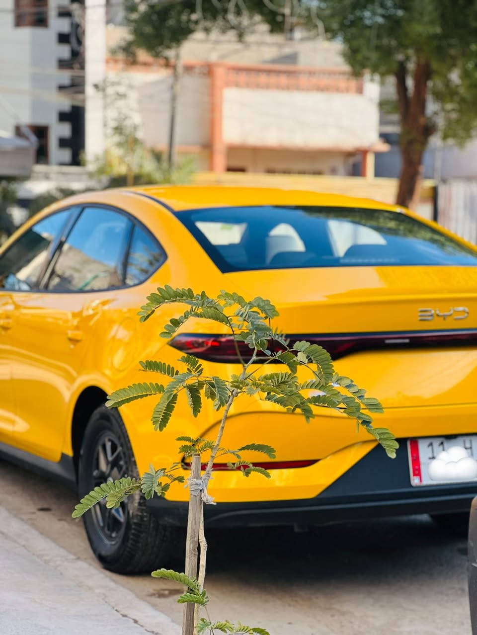 السلام عليكم
للبيع BYD
🔴كن بلاس 
⚪️ موديل 2025 
🛑محوك 1.5 هجين شحن 
🔰خزان الوقود 65 لتر 
🔘عند تعبئة الوقود تمشي 2100 Km 
(( بالتفويلة الواحدة))✅
⚪️عداد المسافة 5 الاف 
🛞ويل حجم 16 
⚪️كشافات امامية LED 
⚪️بكلايت LED
⚪️ إشارة بالمري 
⚪️ألون اصفر اجرأ 
⚪️ بصمة وكارت 
⚪️شاشة وكاميرا 
⚪️مع شاحن 🔌بلادي 
⚪️مع سبير حجم 16 وعدة الجك 
🔴 مع باقي الموصفات المعروفة بالكن بلاس 
📞 ***********
