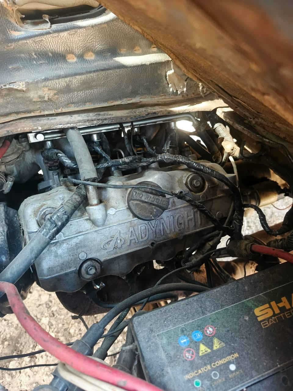 سعر 13 وبيها مجال محرك بالكارتون كير شرط مكان سحاقي ***********
