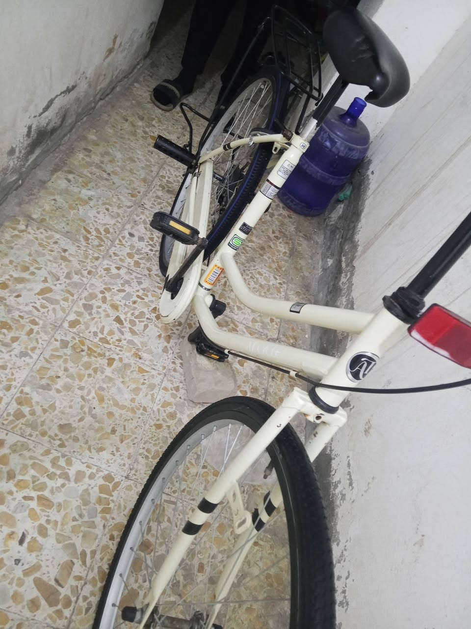 باسكل للبيع نضيف هوه وجامالغات سعر 85وبي مجال مكاني ديوانيه حي العسكري شراي تعال خاص


**إذا كنت صاحب هذا الإعلان وتريد حذفه لأي سبب، رجاءا أرسل رسالة إلى الدعم الفني**