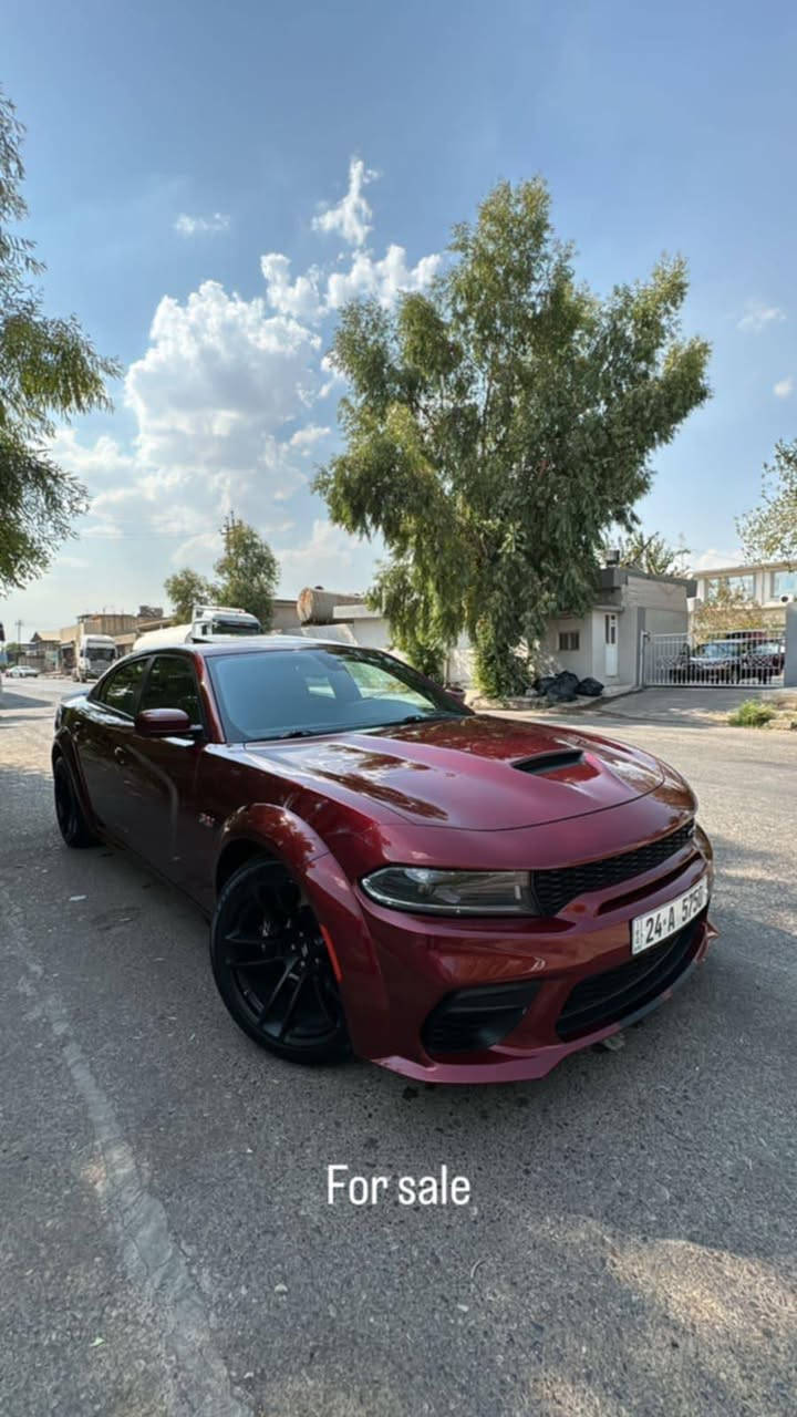 السلام عليكم 
سكات باك وايد بدي اصل 
لون كرزي مميز 
فول ما عدا الرادار 
مشي 40 ميل 
كفاله محرك و كير و شاصي 
سياره ستوك علا وضع الشركه 
السعر 34 الف و بيها مجال
***********
