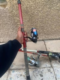 اسبنرات • اثنين • فلوجه