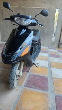 فراشة • اسبوعين • للبيع