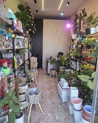 تخفيضات رمضان • خصم ٥٠٪ • جورية للنبات