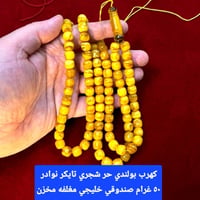 بولوني • حر طبيعي • صندوقي