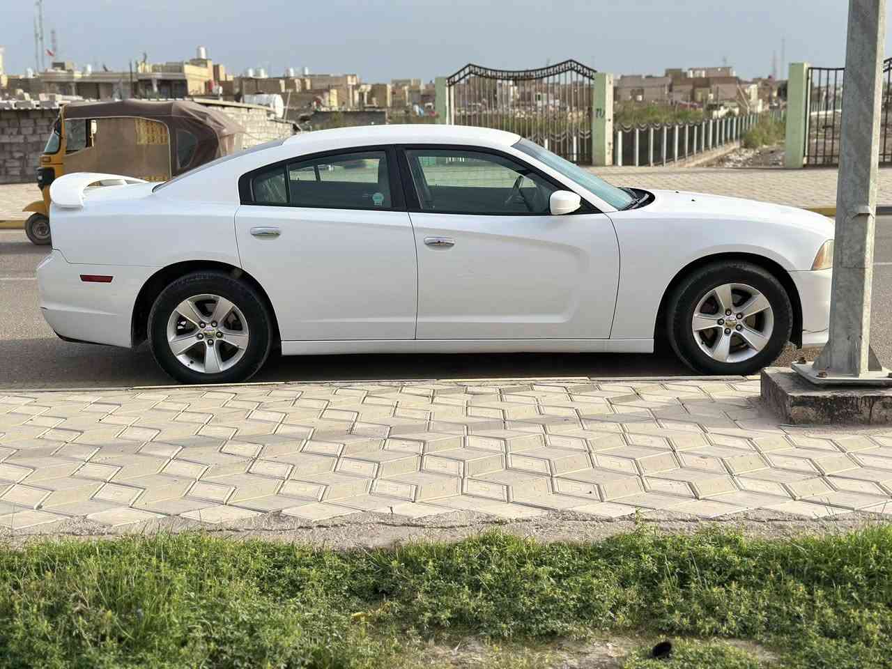 جارجر 2014. اصل

السعر. 52$بي مجال حك الجيه

متومه ارقام وسنويه اربيل شرط حاسبه
مكينه ٣٦٠٠
مكينه وكير وكسل كفاله
حداديه ١٠٠/١٠٠طسته فول نعومه. 
تخم تاير جديد
ويل ١٨خليجي   المرغوب
تبريد قطعتين ثلج
كهربائيات كله شغاله
انضمت قياده 
كشن كهربائي
داخل نضافه ١٠٠/١٠٠
كشر نضافه ١٠٠/١٠٠لا زلوغ ولا شي /بي خسفتين فقط كد ٤ اصابع
سياره جاهزه خير من الله الف ما ذب عليه
بيه شلعه وبطناش تاكل التبليط 

مكان سياره ميسان

***********
