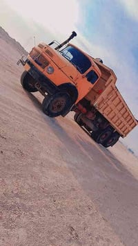 للبيع قجم 81 تفاصيل اكثر نتصال 07807354096/07735052468