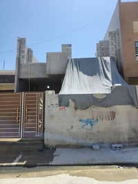 ١٦٩م • دور ثاني خام • بستان