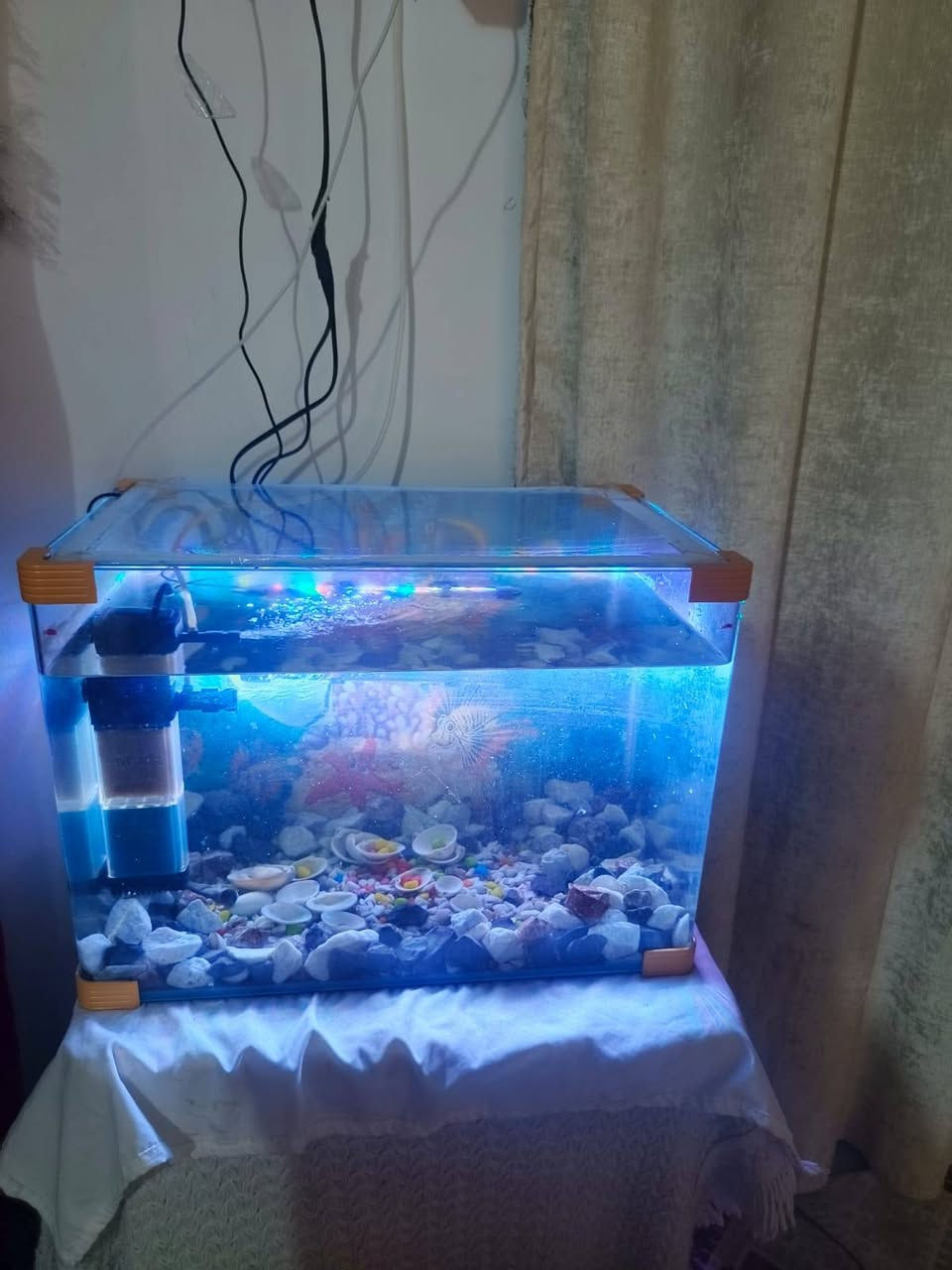 السلام عليكم حوض سمج للبيع كامل مع ملحقاته مكاني نجف للستفسار ع الخاص النجف, العراق


**إذا كنت صاحب هذا الإعلان وتريد حذفه لأي سبب، رجاءا أرسل رسالة إلى الدعم الفني**