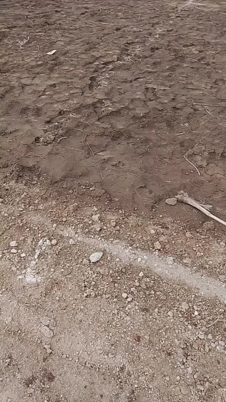 قطع طابو اسهم للبيع مساحه 135 عنوان وقطع نهايه شارع السفينه خدمات ماء كهرباء شوارع 10م***********
